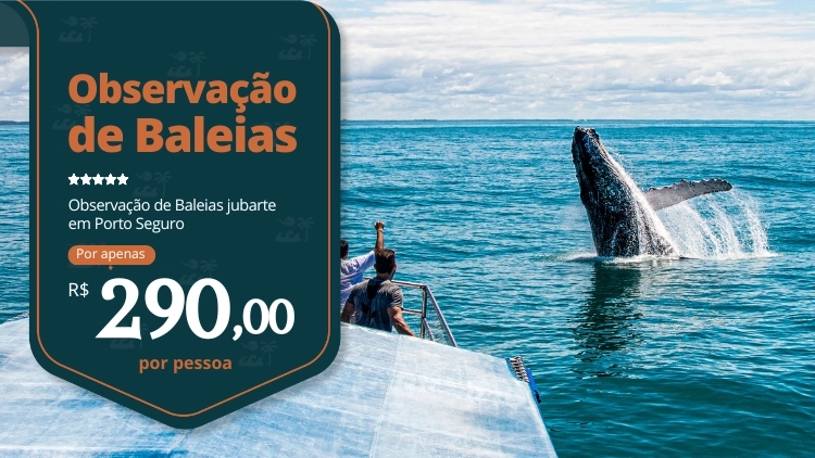 Observa&ccedil;&atilde;o das Baleias Jubarte 